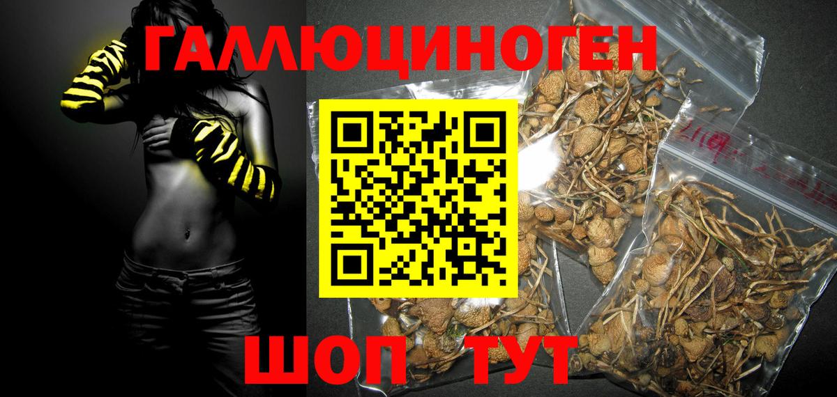 Галлюциногенные грибы прущие грибы  где можно купить наркотик  Верхняя Пышма  Псилоцибиновые грибы GOLDEN TEACHER  Вход с VPN 