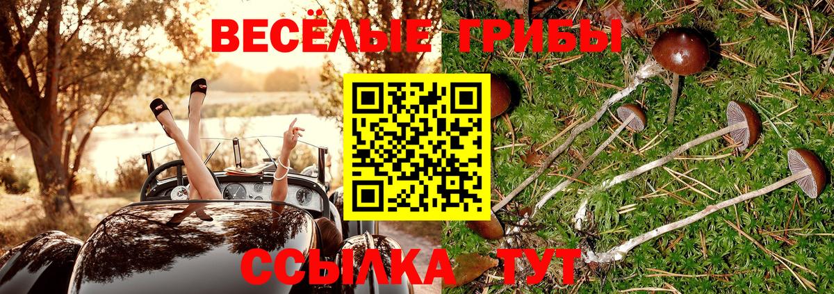 Галлюциногенные грибы мицелий Верхняя Пышма